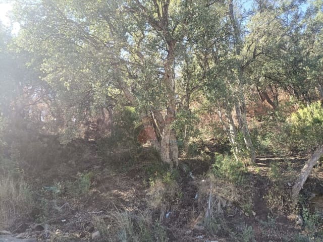 Area Edificabile in vendita in Calonge i Sant Antoni - 95.000 € (Rif: 10161213)