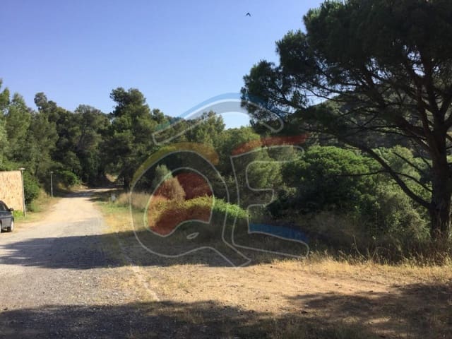 Mark till salu i Palamós - 597 500 € (Ref: 6512186)