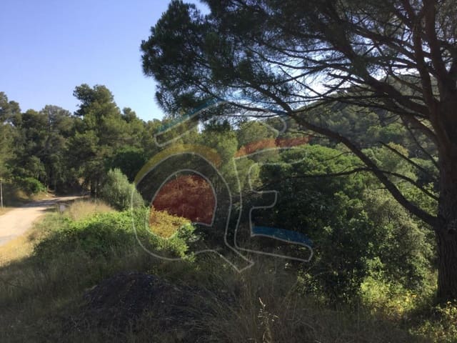 Mark till salu i Palamós - 597 500 € (Ref: 6512186)