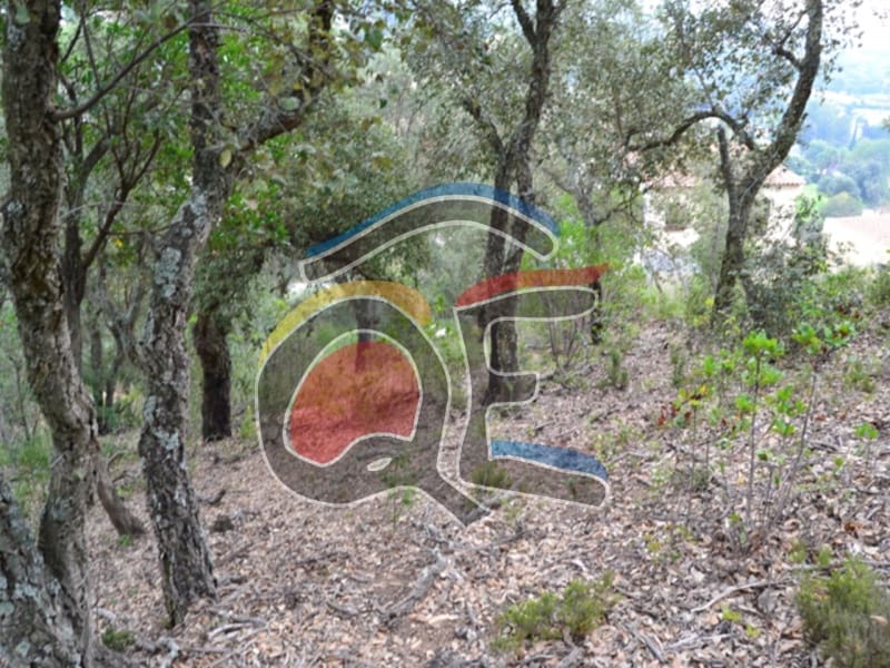 Grunde uden byggetilladelser til salg i Calonge i Sant Antoni - € 90.000 (Ref: 6512192)