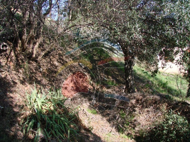 Undeveloped Land for sale in Calonge i Sant Antoni - € 99,000 (Ref: 6515170)