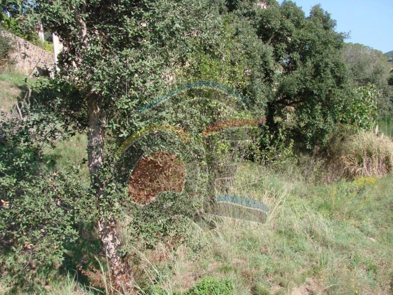 Undeveloped Land for sale in Calonge i Sant Antoni - € 99,000 (Ref: 6515170)