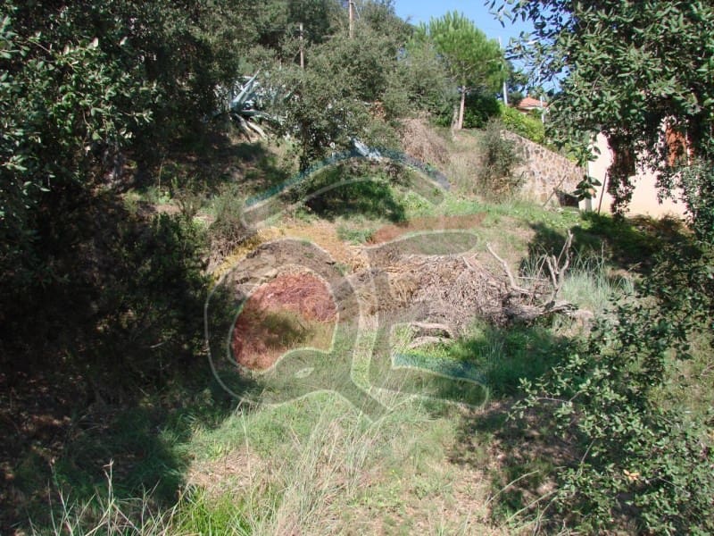 Undeveloped Land for sale in Calonge i Sant Antoni - € 99,000 (Ref: 6515170)