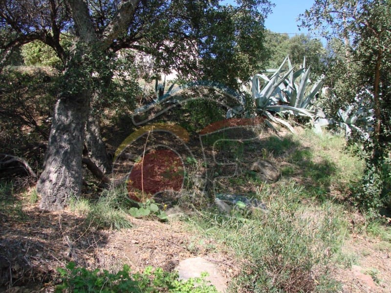 Undeveloped Land for sale in Calonge i Sant Antoni - € 99,000 (Ref: 6515170)