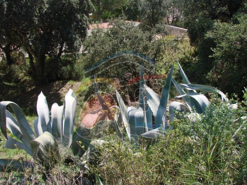 Undeveloped Land for sale in Calonge i Sant Antoni - € 99,000 (Ref: 6515170)