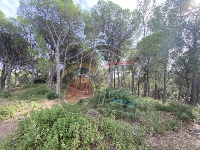 Grunde uden byggetilladelser til salg i Begur - € 265.000 (Ref: 6515281)