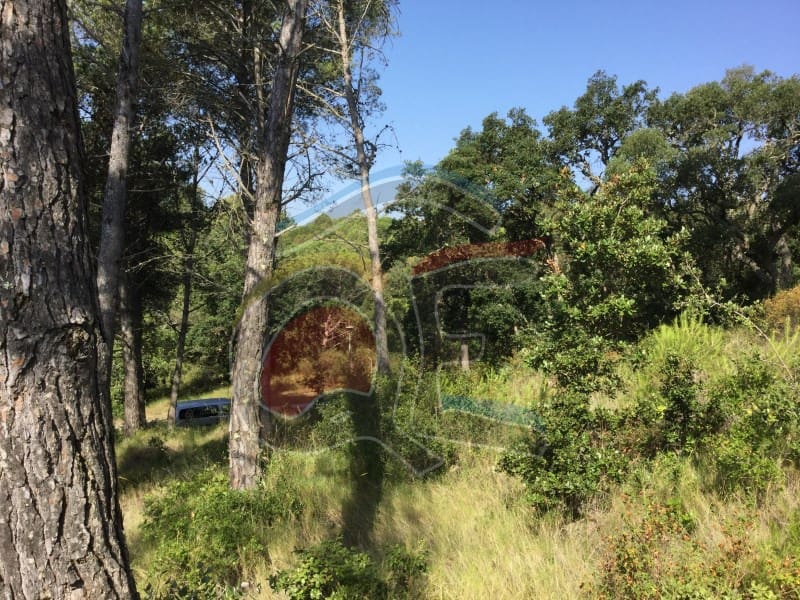 Grunde uden byggetilladelser til salg i Palamos - € 165.000 (Ref: 6801513)