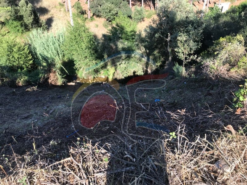 Tomt till salu i Calonge i Sant Antoni - 64 000 € (Ref: 7644220)