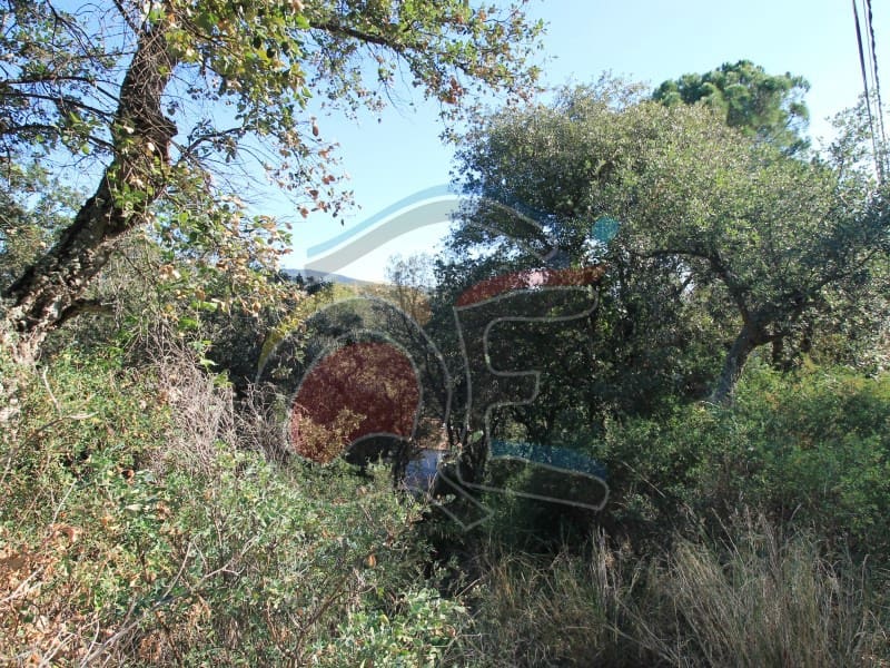 Grond te koop in Calonge i Sant Antoni - € 95.000 (Ref: 7921780)