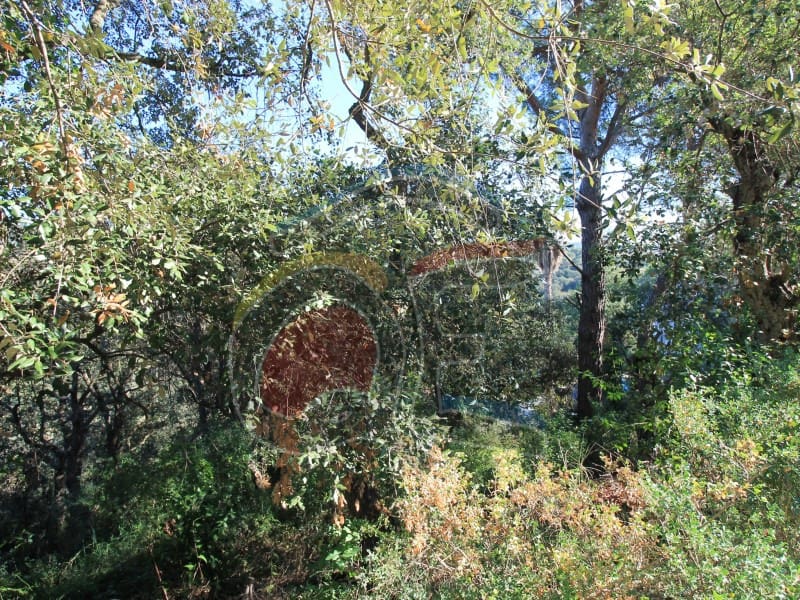 Grond te koop in Calonge i Sant Antoni - € 95.000 (Ref: 7921780)