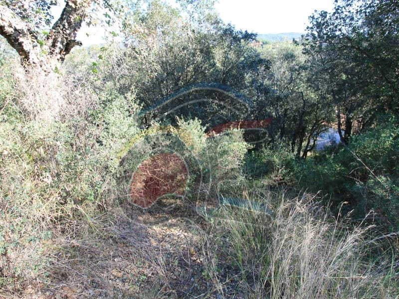 Grond te koop in Calonge i Sant Antoni - € 95.000 (Ref: 7921780)