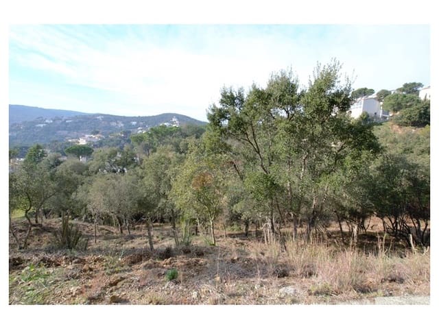 Rakentamaton maa myytävänä paikassa Calonge i Sant Antoni - 68 000 € (Ref: 8468219)