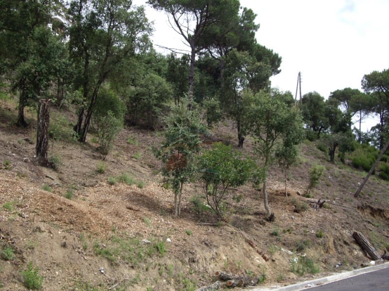 Terre non Aménagée à vendre à Calonge i Sant Antoni - 68 000 € (Ref: 8468219)