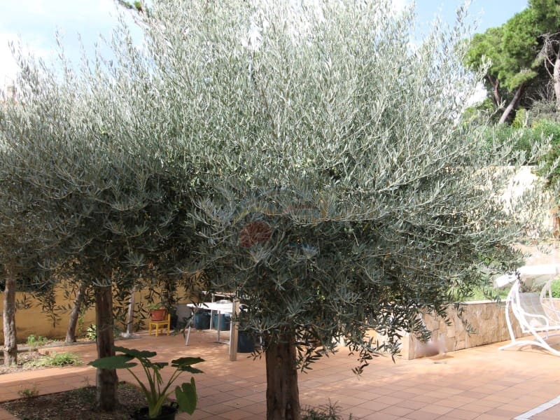 5 soveværelse Villa til salg i Platja d'Aro med swimmingpool garage - € 1.150.000 (Ref: 8572541)