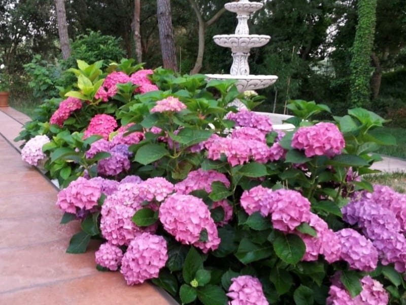 8 soveværelse Villa til salg i Platja d'Aro med garage - € 1.500.000 (Ref: 8591240)