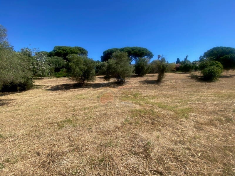 Building Plot for sale in Calonge i Sant Antoni - € 160,000 (Ref: 9953894)