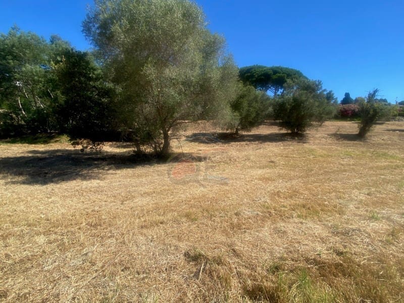 Building Plot for sale in Calonge i Sant Antoni - € 160,000 (Ref: 9953894)