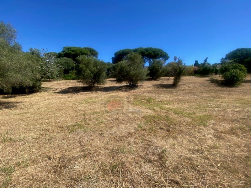Building Plot for sale in Calonge i Sant Antoni - € 160,000 (Ref: 9953894)