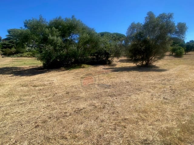 Bouwgrond te koop in Calonge i Sant Antoni - € 160.000 (Ref: 9953894)