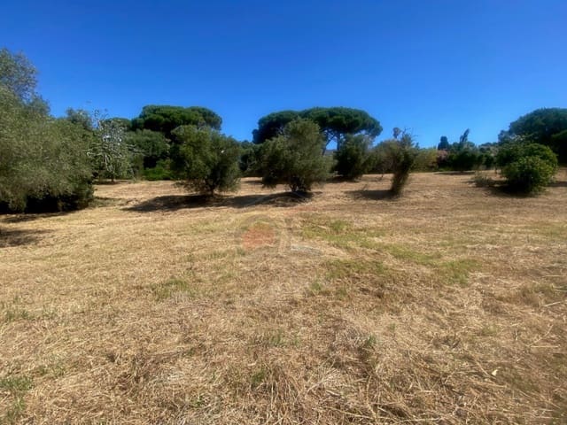Bouwgrond te koop in Calonge i Sant Antoni - € 160.000 (Ref: 9953894)