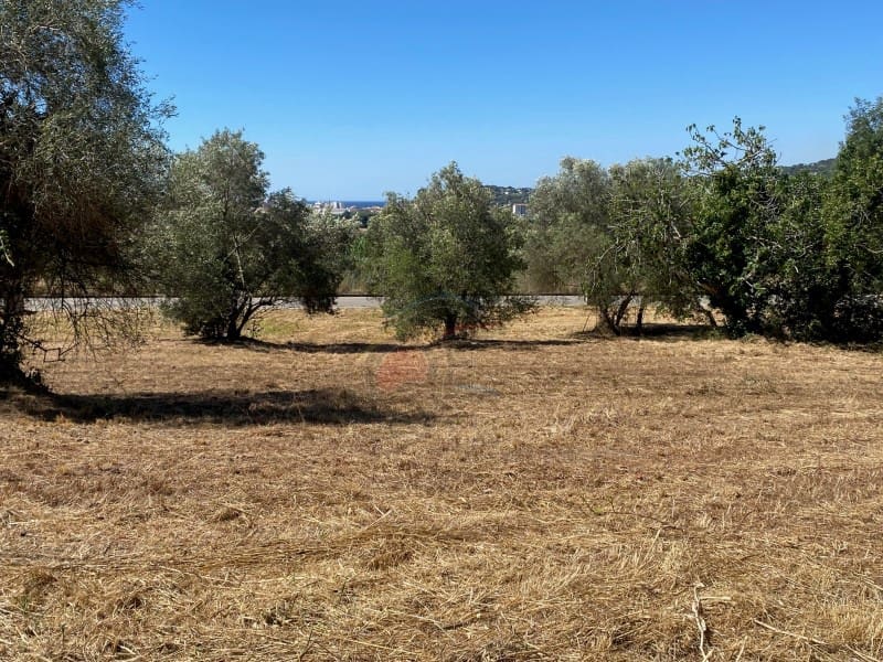 Building Plot for sale in Calonge i Sant Antoni - € 160,000 (Ref: 9953894)