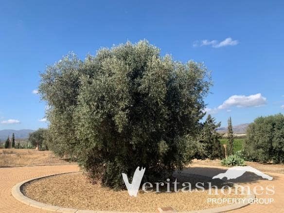 5 soverom Villa til salgs i Vera - € 1 150 000 (Ref: 7570224)