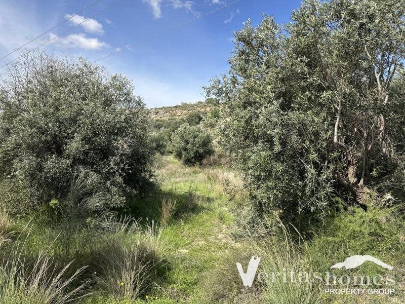 2 bedroom Finca/Country House for sale in Los Gallardos - € 108,000 (Ref: 9870496)