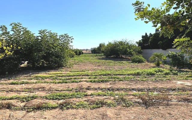 4 sovrum Finca/Hus på landet till salu i Albatera med pool garage - 393 000 € (Ref: 10044043)