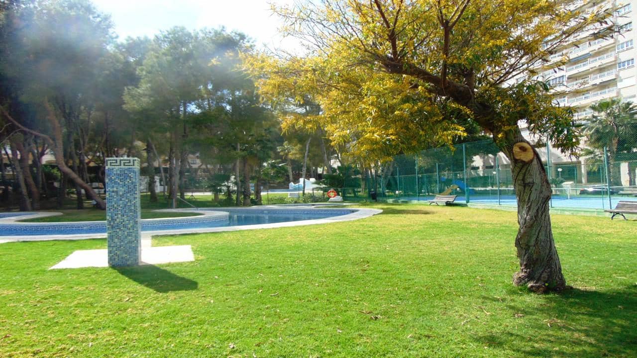 3 soveværelse Penthouse til salg i Dehesa de Campoamor med swimmingpool garage - € 209.995 (Ref: 7486443)