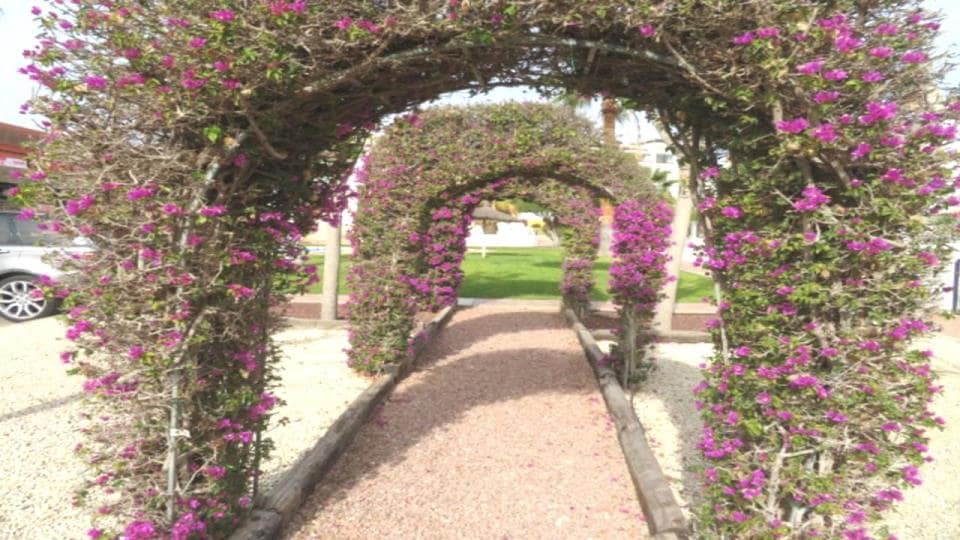 2 bedroom Bungalow for sale in Villamartin with pool garage - € 249,999 (Ref: 8956119)