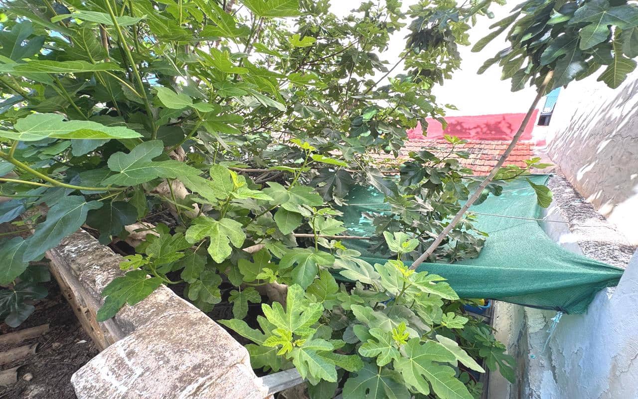 3 quarto Casa em Banda para venda em Benejuzar - 89 990 € (Ref: 9203330)