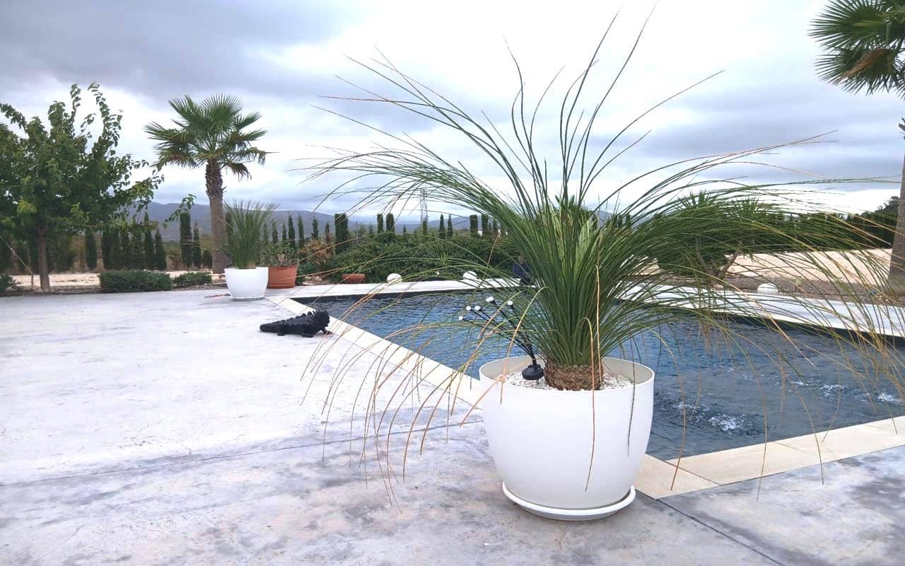 5 soverom Villa til salgs i Sax med svømmebasseng garasje - € 495 000 (Ref: 9380079)