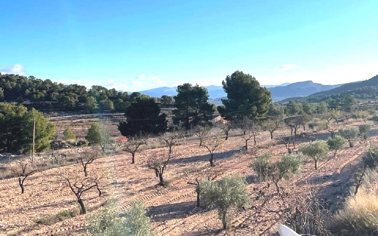 6 soveværelse Finca/Landehus til salg i Pinoso med swimmingpool garage - € 649.995 (Ref: 9384933)