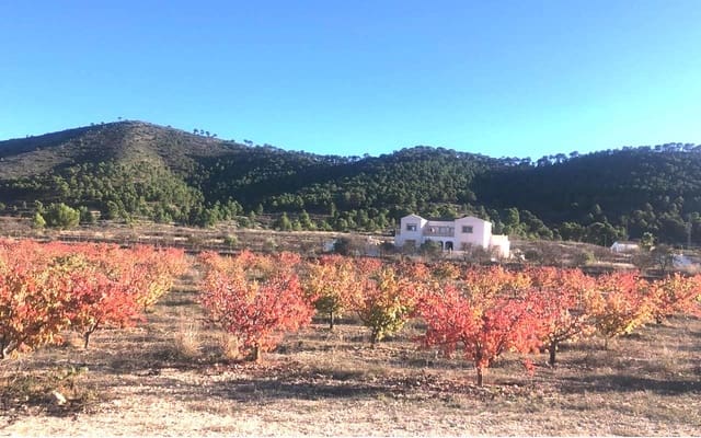 6 slaapkamer Finca/Landhuis te koop in Pinoso met zwembad garage - € 649.995 (Ref: 9384933)