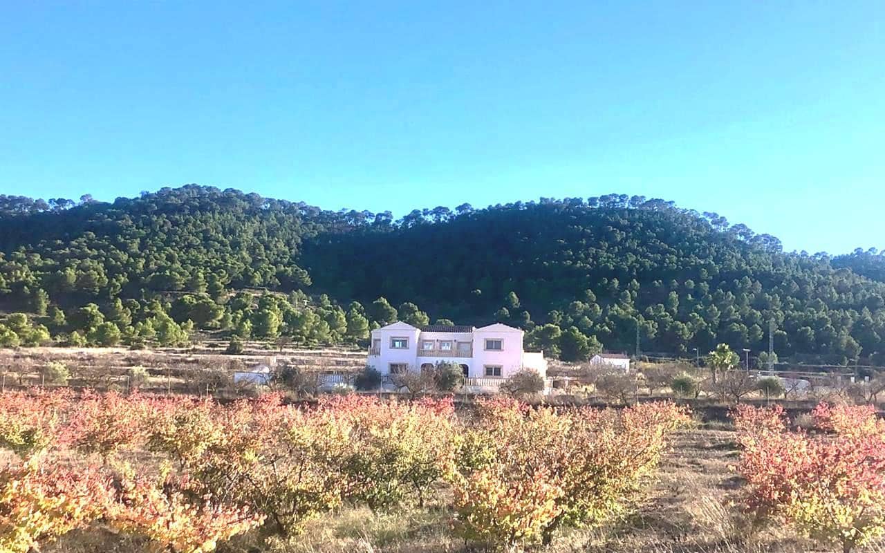 6 soveværelse Finca/Landehus til salg i Pinoso med swimmingpool garage - € 649.995 (Ref: 9384933)