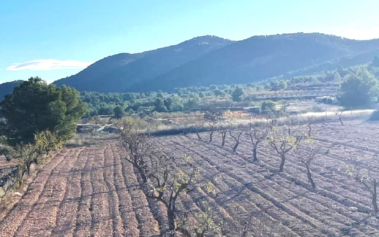 6 soveværelse Finca/Landehus til salg i Pinoso med swimmingpool garage - € 649.995 (Ref: 9384933)