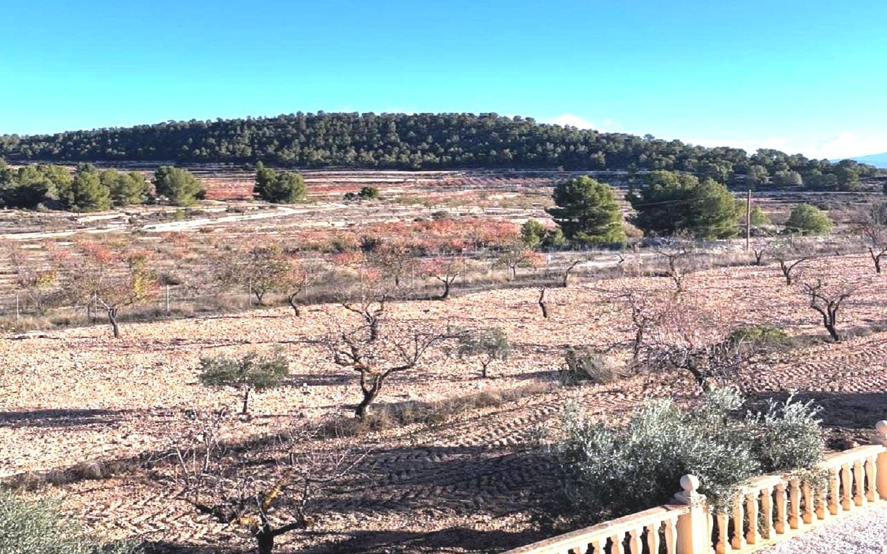 6 soveværelse Finca/Landehus til salg i Pinoso med swimmingpool garage - € 649.995 (Ref: 9384933)