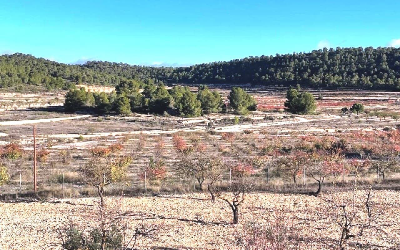 6 soveværelse Finca/Landehus til salg i Pinoso med swimmingpool garage - € 649.995 (Ref: 9384933)