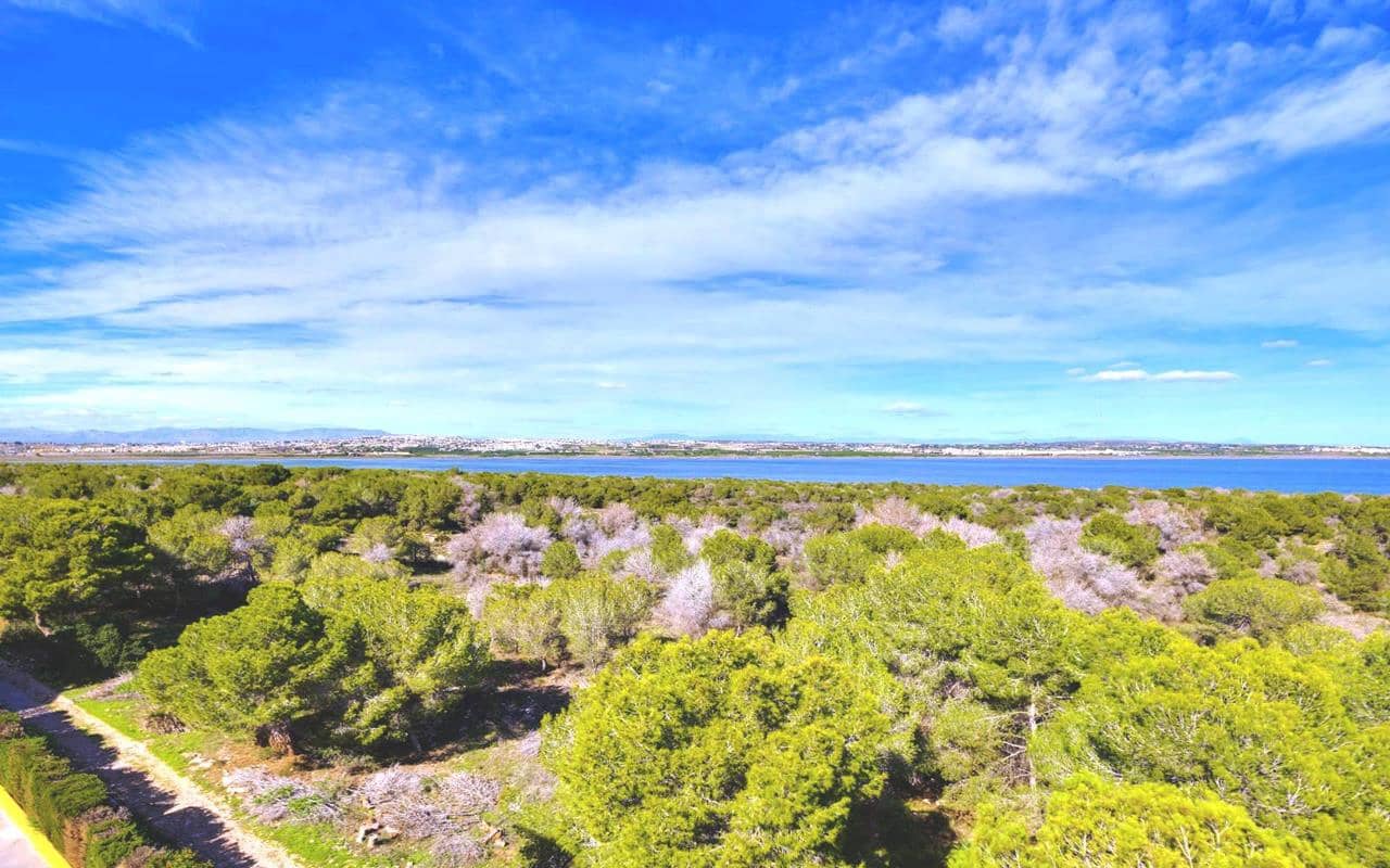 3 camera da letto Appartamento in vendita in San Luis con piscina garage - 136.995 € (Rif: 9452877)