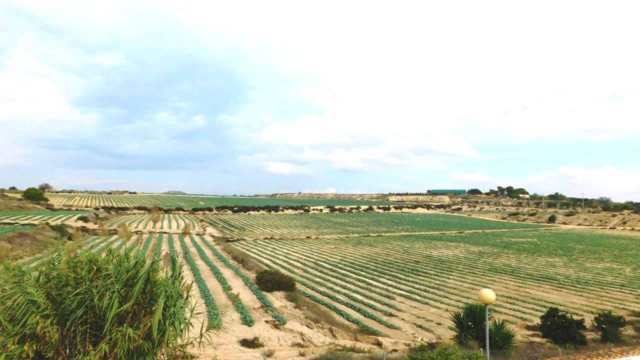 4 soverom Villa til salgs i San Miguel de Salinas med svømmebasseng garasje - € 270 000 (Ref: 9534804)