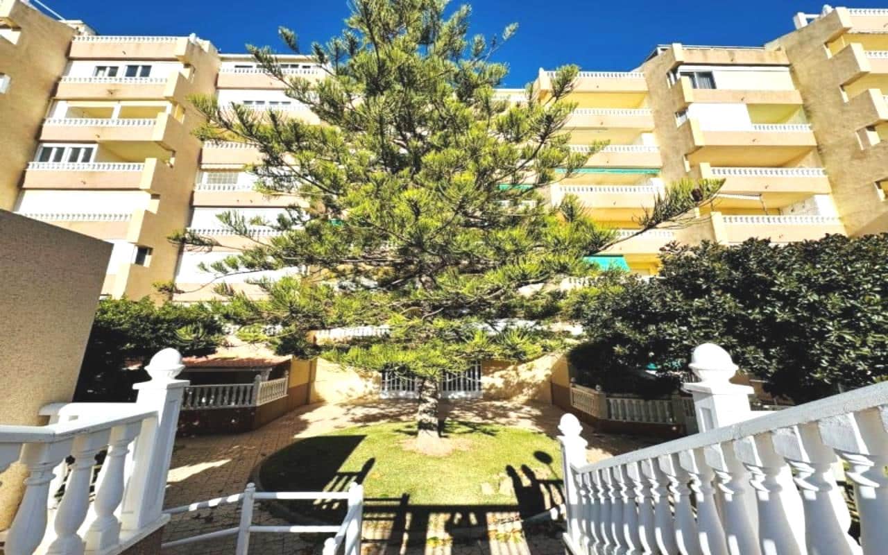 3 Zimmer Penthouse zu verkaufen in La Mata mit Pool Garage - 470.000 € (Ref: 9580285)