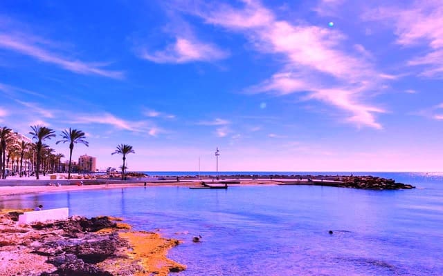 Studio na sprzedaż w Torrevieja - 89 995 € (Ref: 9588476)