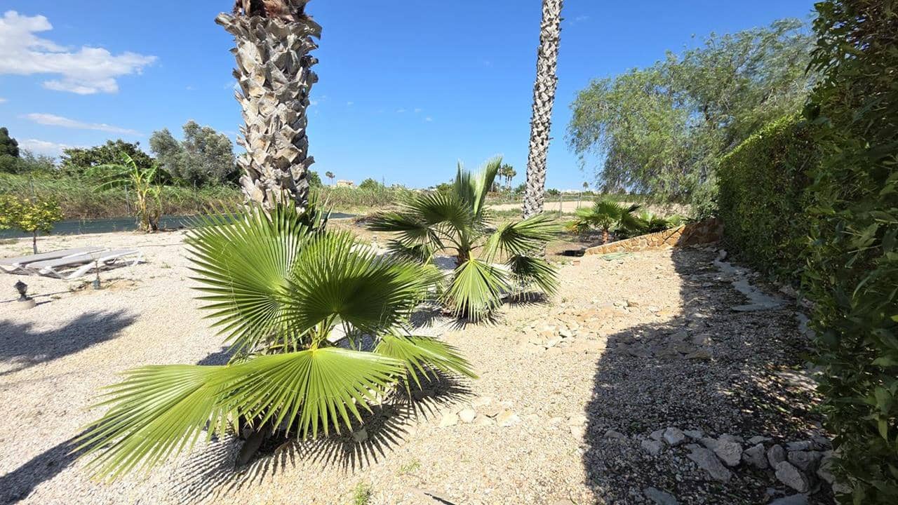 4 slaapkamer Finca/Landhuis te koop in Guardamar del Segura met zwembad garage - € 535.000 (Ref: 9885295)