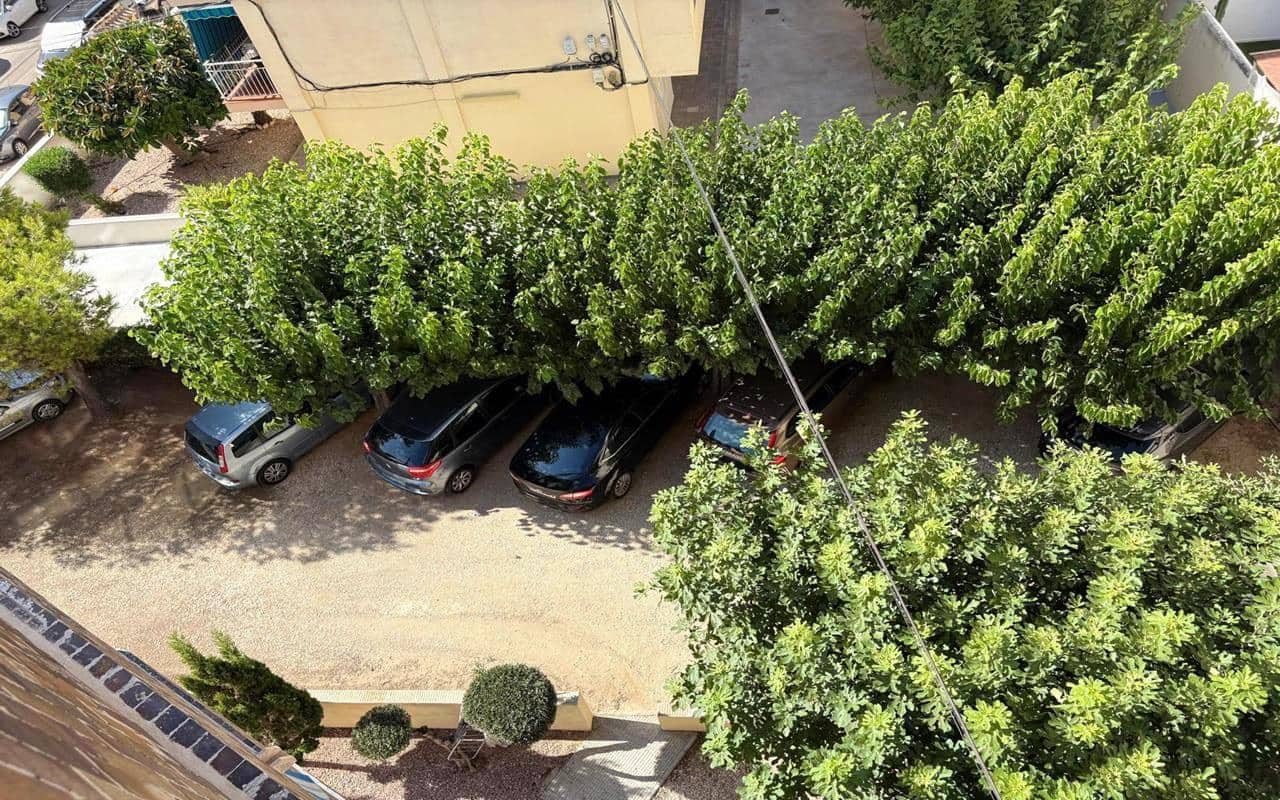 2 Zimmer Apartment zu verkaufen in La Mata mit Garage - 189.500 € (Ref: 9938704)