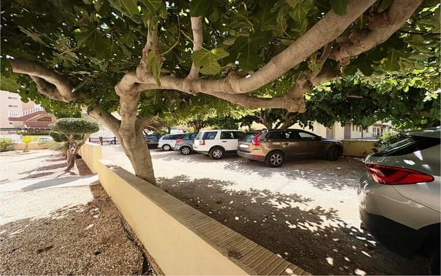 2 Zimmer Apartment zu verkaufen in La Mata, Torrevieja mit Garage - 189.500 € (Ref: 9938704)