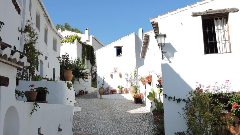 9 soveværelse Erhverv til salg i Frigiliana med swimmingpool - € 300.000 (Ref: 3162967)