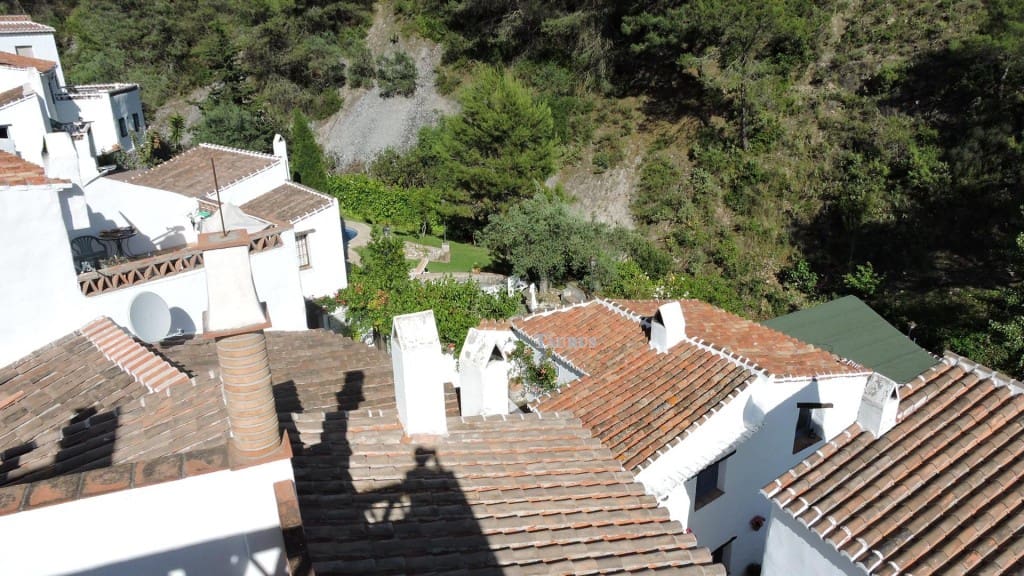 9 soveværelse Erhverv til salg i Frigiliana med swimmingpool - € 300.000 (Ref: 3162967)