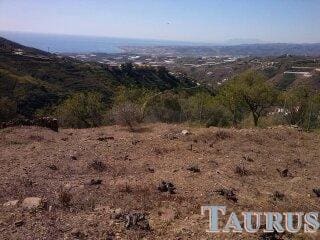 Ubebygd land til salgs i Sayalonga - € 40 000 (Ref: 3162993)