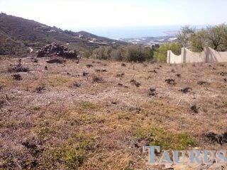 Ubebygd land til salgs i Sayalonga - € 40 000 (Ref: 3162993)