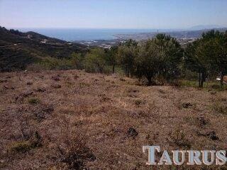 Ubebygd land til salgs i Sayalonga - € 40 000 (Ref: 3162993)